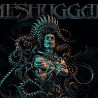 meshugga